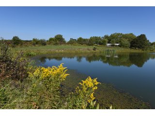Property photo 46 - Tillable, Pasture, Recreational, Hunting and Fishing Property  